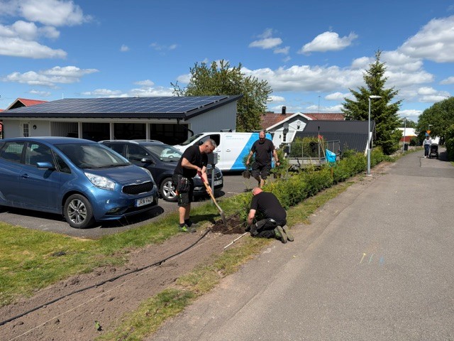 Hackplantering 1
