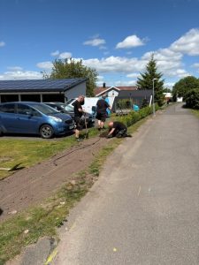 Hackplantering 2